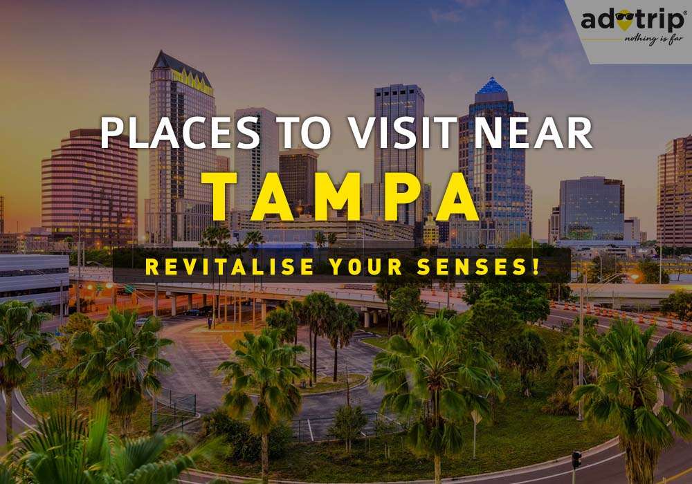 Places To Visit Near Tampa